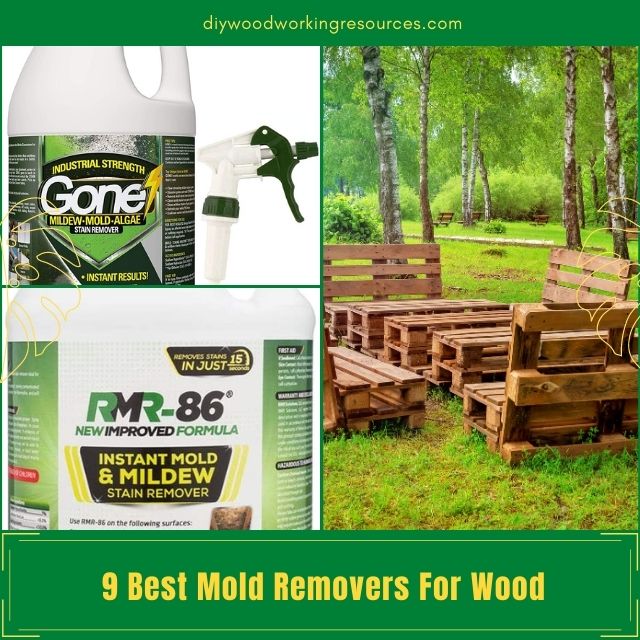 Best Mold Remover For Wood