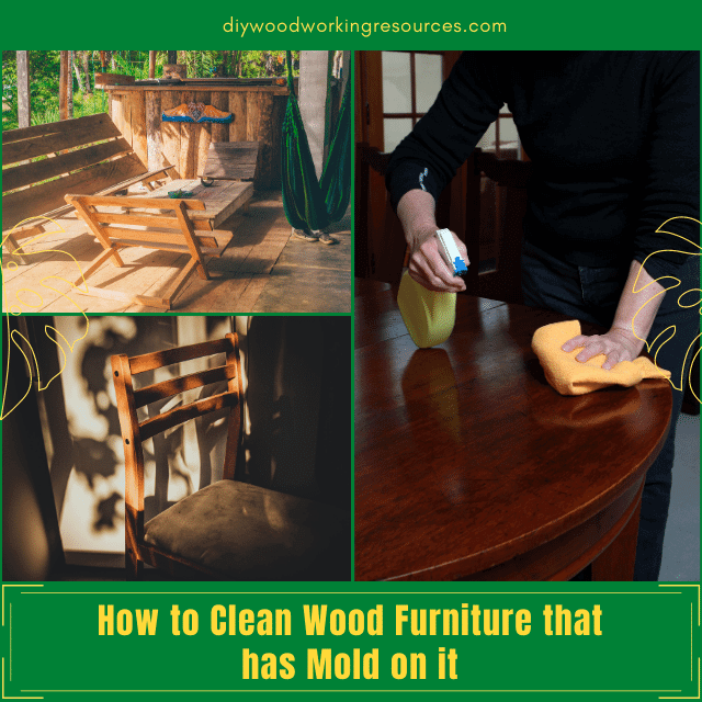 How to Clean Wood Furniture that has Mold on it_